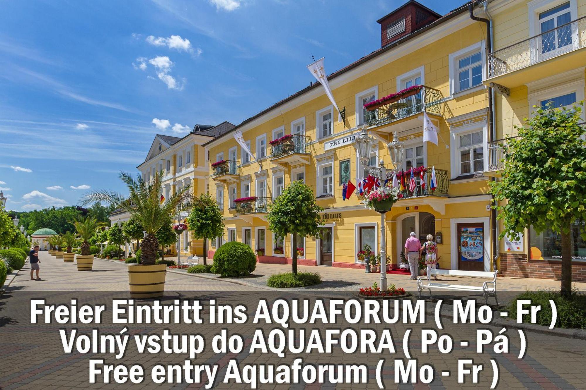 Hotel Three Lilies Inkl Aquaforum Франтішкови-Лазнє Екстер'єр фото